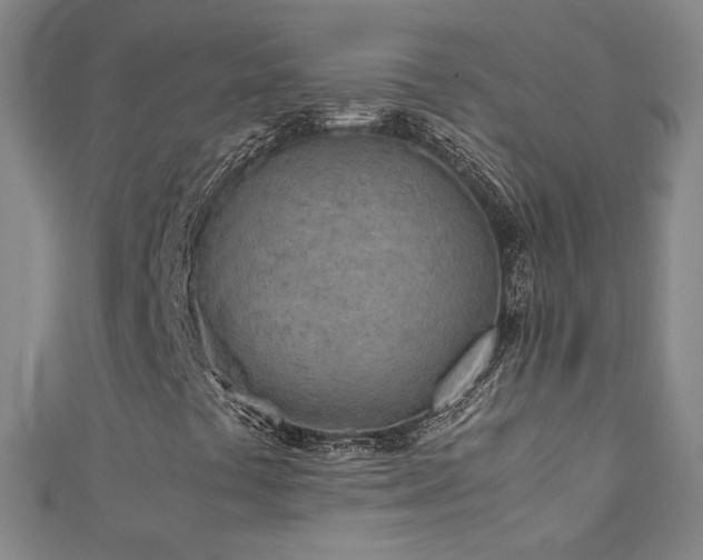 X0000111431441200907131213