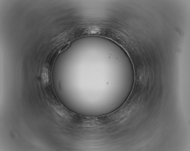 X0000111431442200907131213
