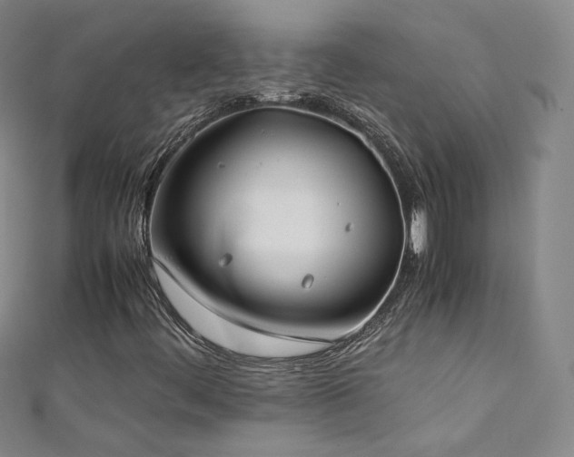 X0000111431444200907131213