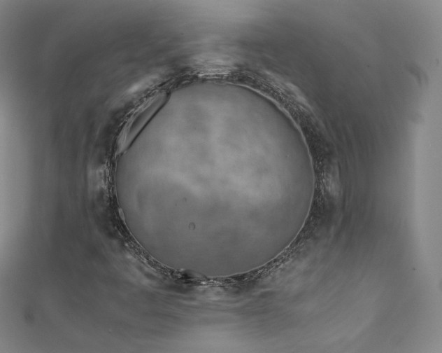 X0000111431445200907131213