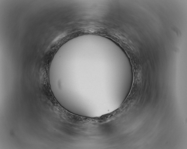 X0000111431446200907131213