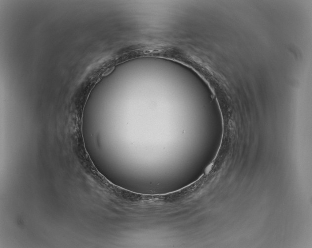 X0000111431447200907131213