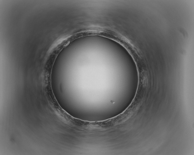 X0000111431448200907131213