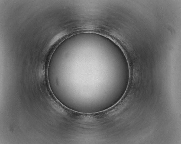 X0000111431450200907131213