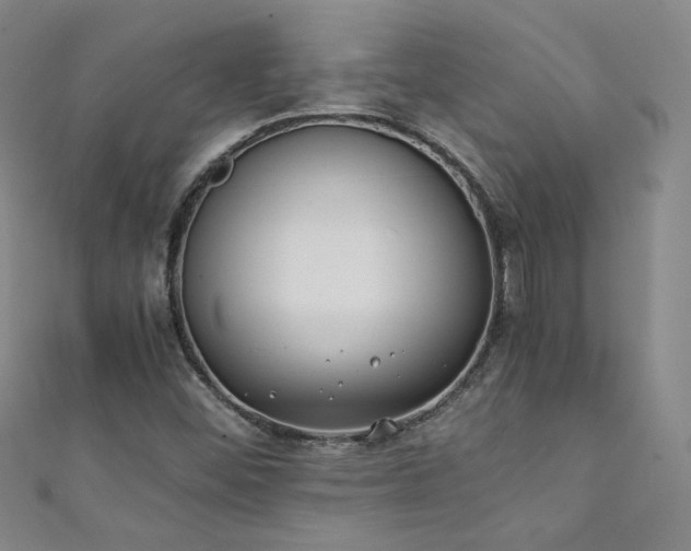 X0000111431452200907131213