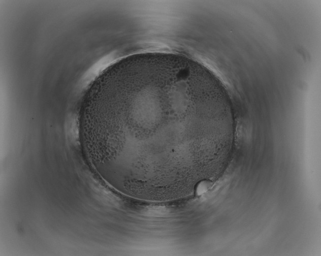 X0000111431455200907131213