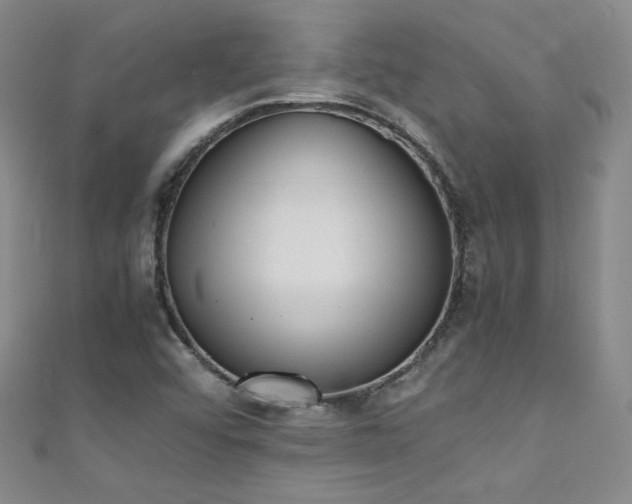 X0000111431456200907131213
