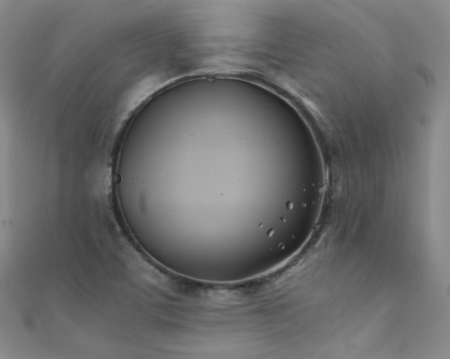 X0000111431459200907131213