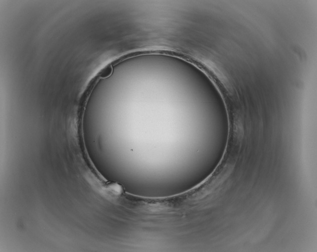 X0000111431460200907131213