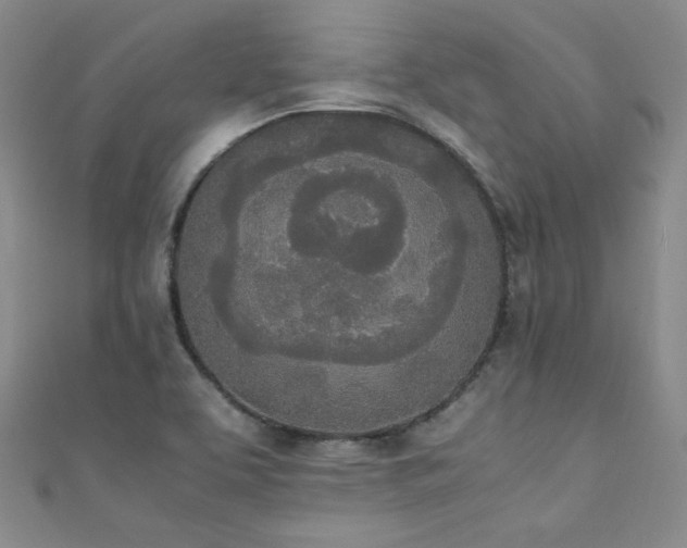 X0000111431463200907131213