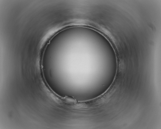 X0000111431464200907131213