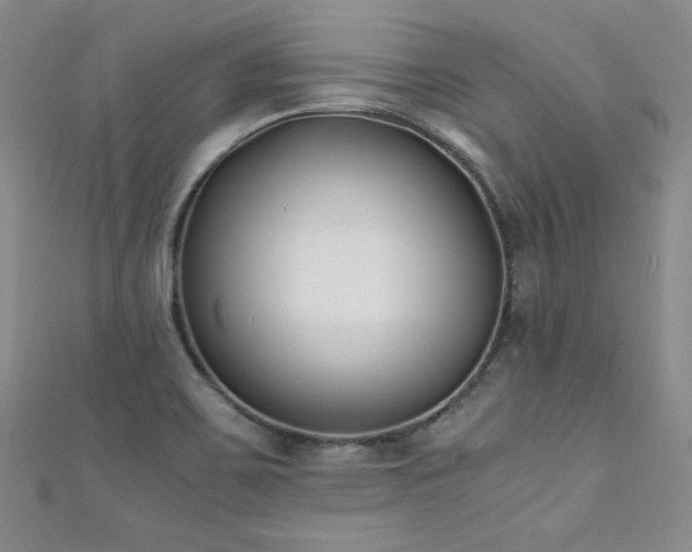X0000111431467200907131213