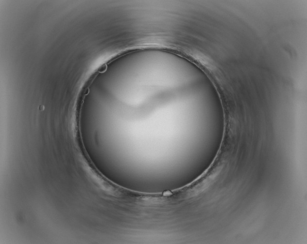 X0000111431469200907131213