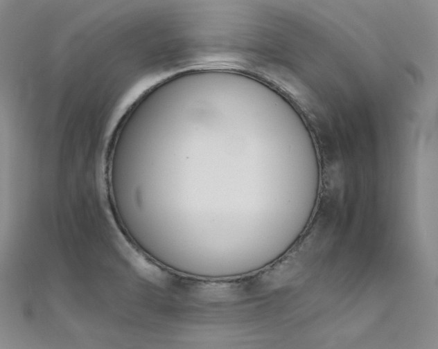 X0000111431470200907131213