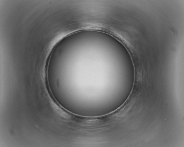X0000111431471200907131213