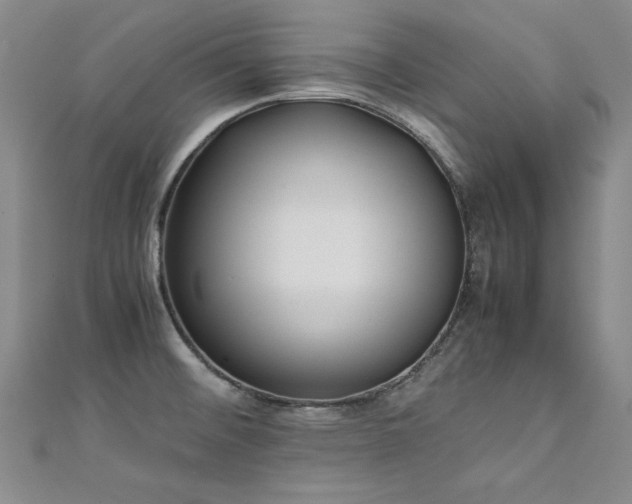 X0000111431476200907131212