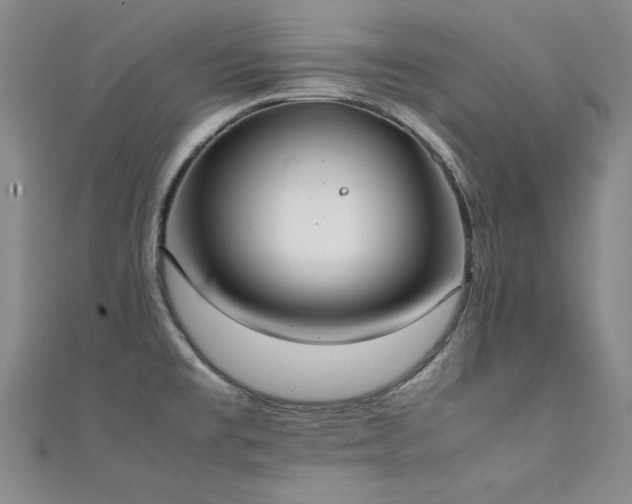 X0000111431477200907131212
