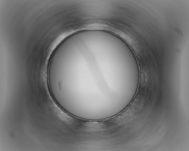 X0000111431478200907131212