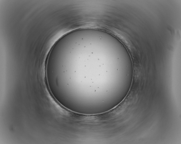 X0000111431479200907131212