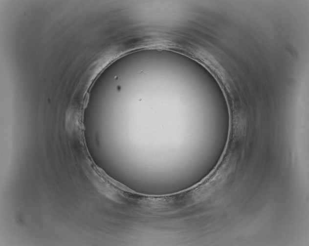 X0000111431481200907131212