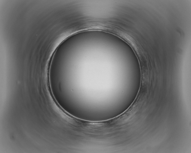 X0000111431483200907131212