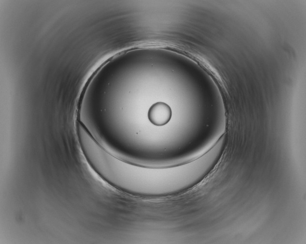 X0000111431484200907131212