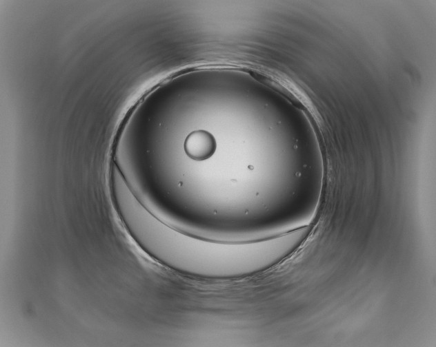 X0000111431485200907131212