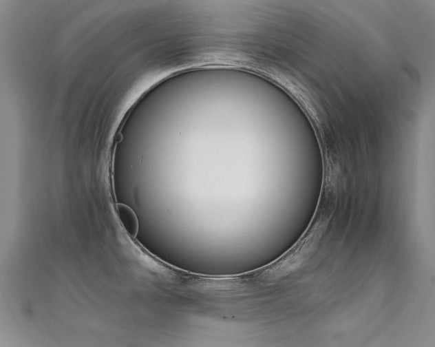 X0000111431486200907131212