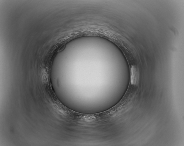 X0000111431491200907131212