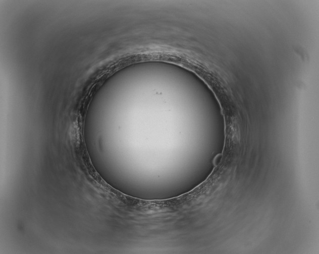 X0000111431493200907131212