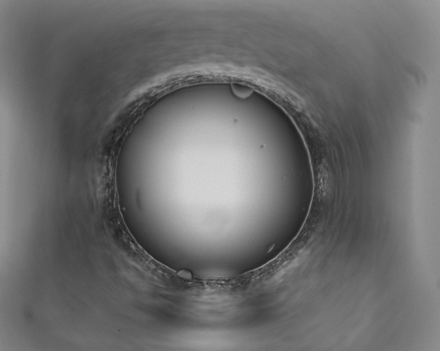 X0000111431494200907131212