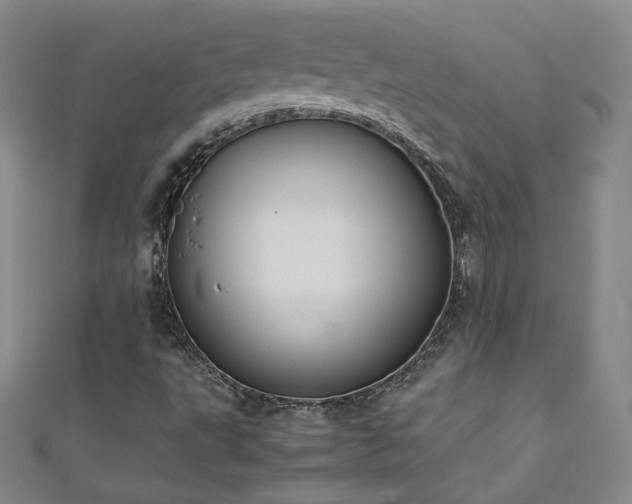 X0000111431495200907131212