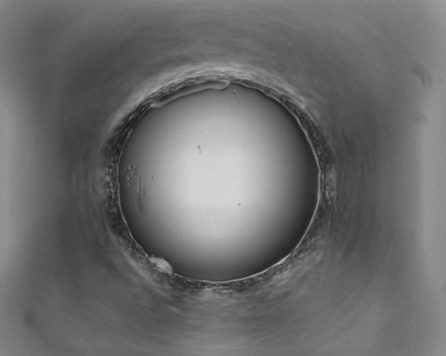 X0000111431496200907131212