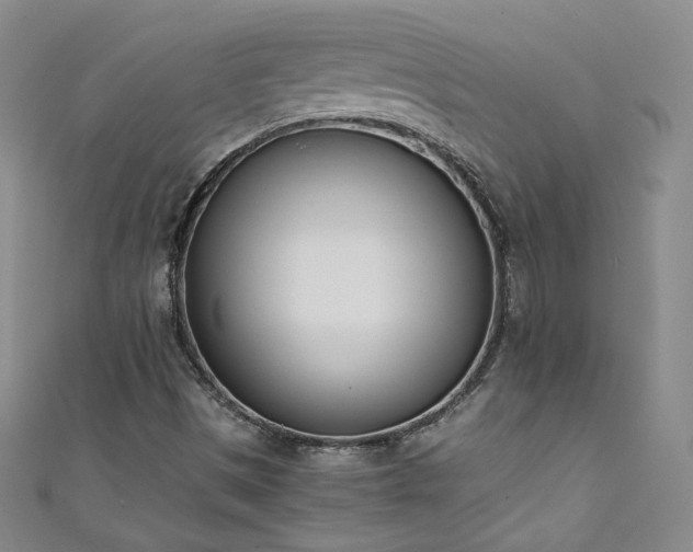 X0000111431497200907131212