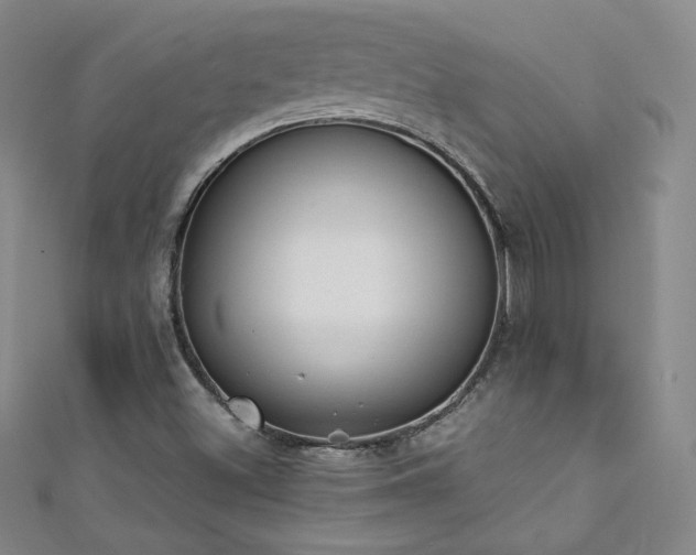 X0000111431500200907131212