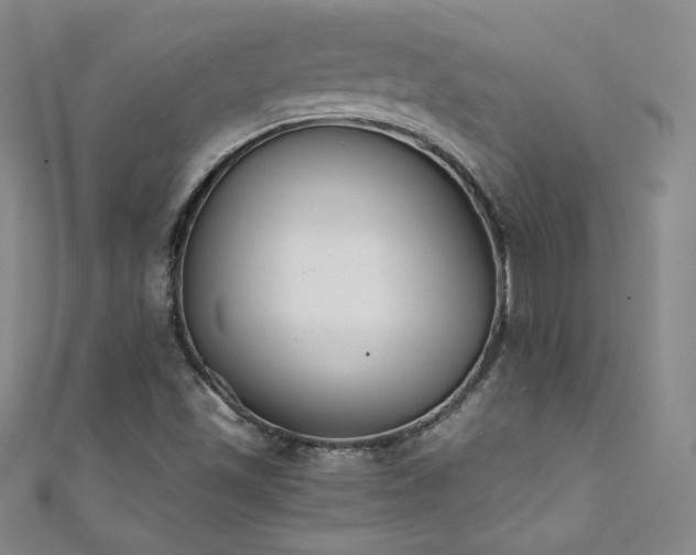 X0000111431501200907131212