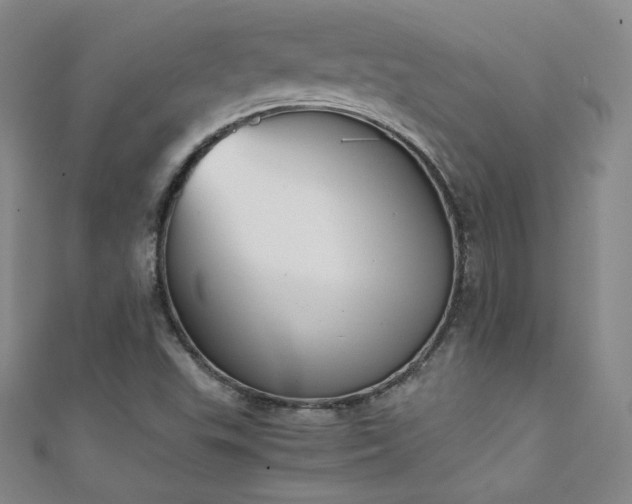 X0000111431503200907131212
