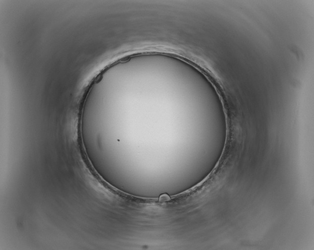 X0000111431504200907131212