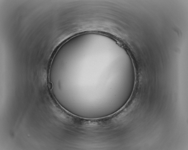 X0000111431505200907131212