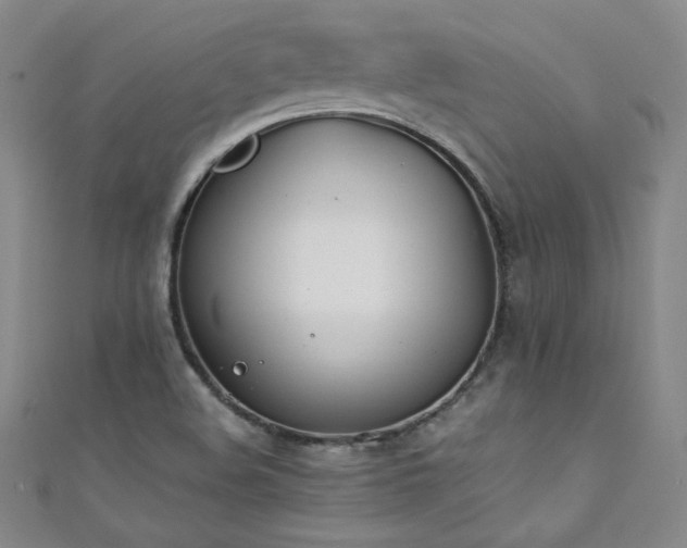 X0000111431508200907131212