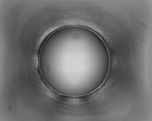 X0000111431509200907131212