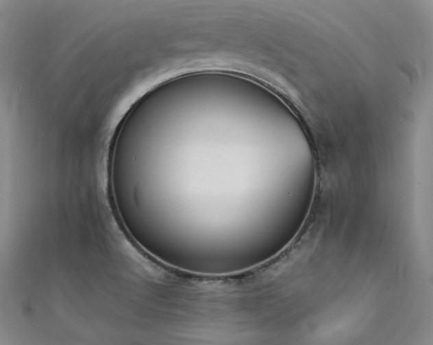X0000111431512200907131212