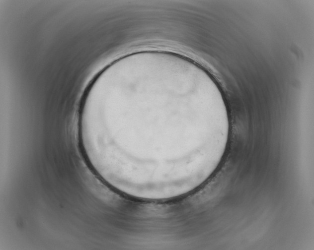 X0000111431514200907131212