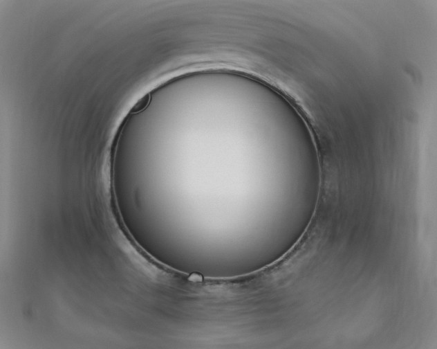 X0000111431516200907131212