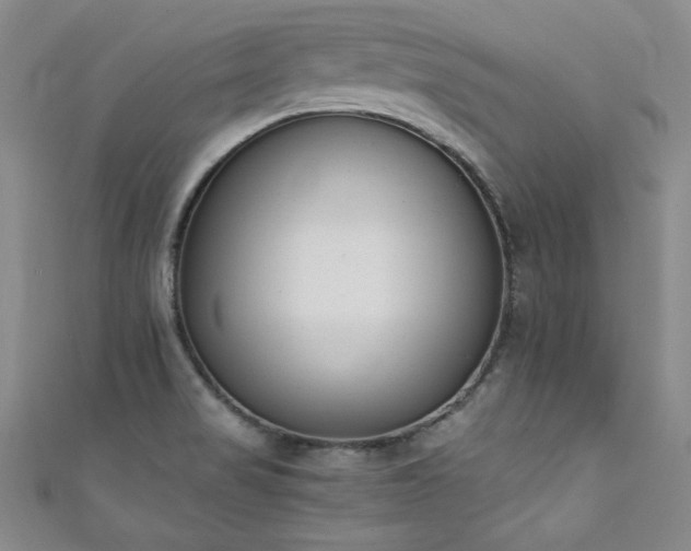 X0000111431517200907131212