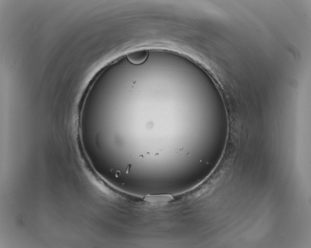 X0000111431519200907131212