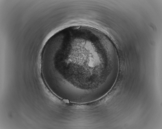 X0000111431522200907131212