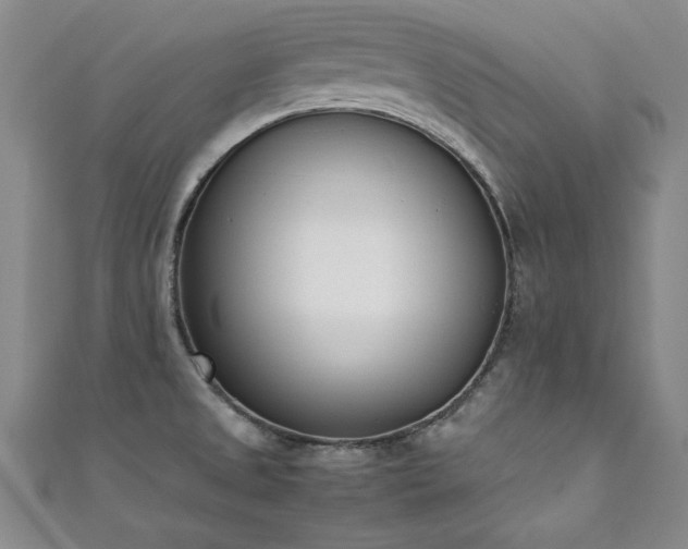 X0000111431525200907131212