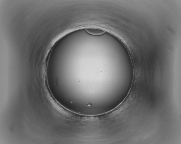 X0000111431526200907131212