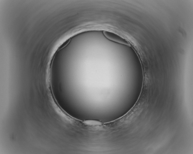 X0000111431528200907131212